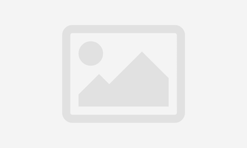 Francés para Adultos